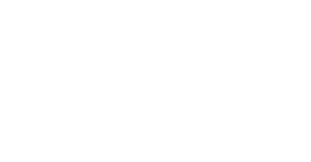 Tonin Casa logo